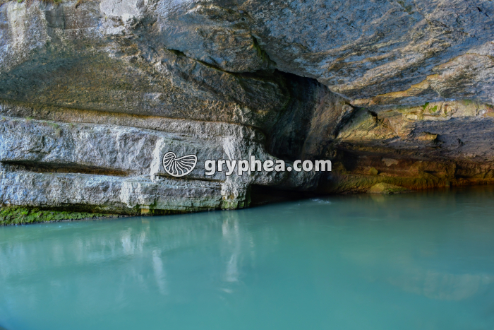 Résurgence de la Loue (Jura, France) - gryphea.org